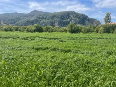 736M2 Land For Sale In Okçular