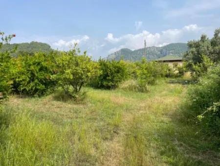 7800M2 Land For Sale At The Beginning Of Iztuzu Beach Road In Gökbel