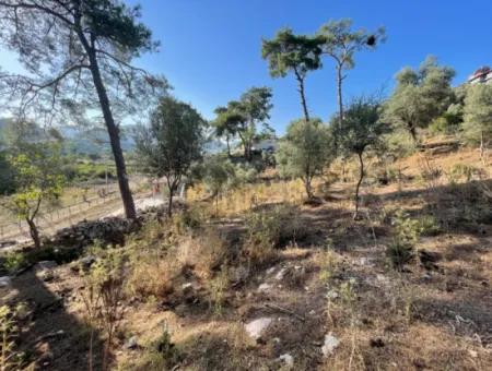 1,320M2 Field For Sale In Çandır Center By The Forest