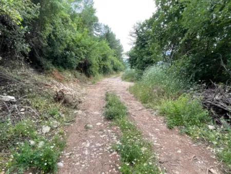 2,528M2 Field For Sale Near The Center Of Dalyan