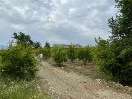 2,528M2 Field For Sale Near The Center Of Dalyan