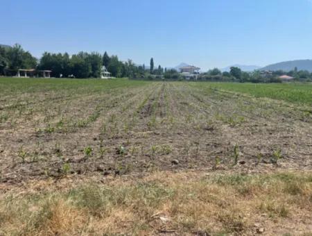 Land For Sale Of 2715M2 In The Built-Up Area Of The Village In Okçular