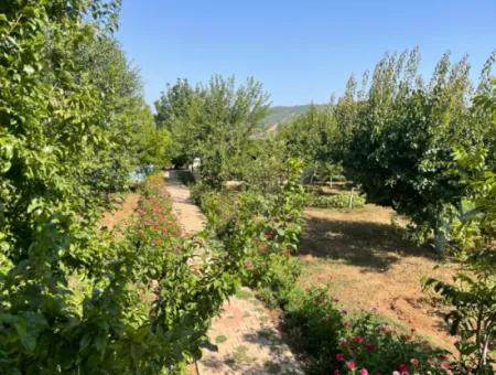 Muğla Ula Köprübaşı Mahallesin In 2378M2 Land In 3 1 Vlla For Sale