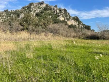 6800 M2 Land For Sale In Dalyan With 5% Residential Zoning