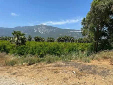 13,500M2 Roadfront Field For Sale In Akyaka Akçapınar