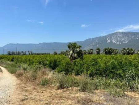 13,500M2 Roadfront Field For Sale In Akyaka Akçapınar