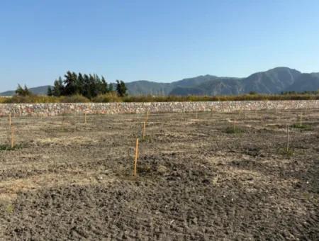 19.663M2 Land For Sale In Eskiköy