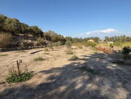 19.663M2 Land For Sale In Eskiköy