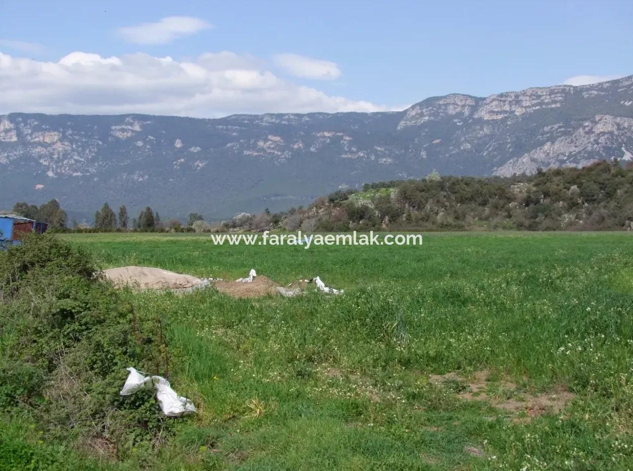 Akyaka Gökçede Satılık Arazi Denize Yakın Çiftlik İçin 21625M2 Satılık Tarla Yatırımlık Satılık Ars