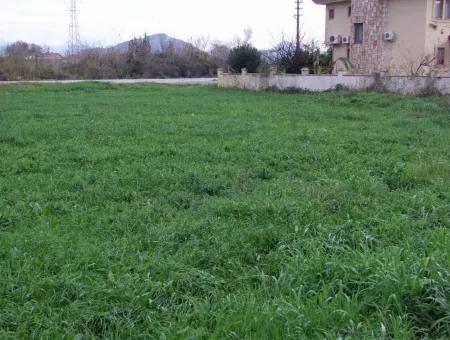 Dalyan Gülpınar Satılık Arsa Dalyan 1,002M2 Satılık Köşenası Satılık Arsa