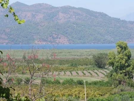 Dalyan Satılık Tarla Dalyan 73410M2 Satılık Tarla