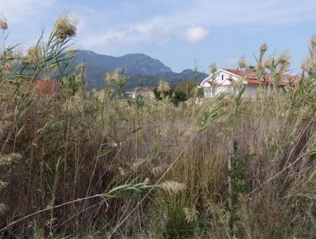 Dalyan Satılık Arsa Dalyan Gülpınar 751M2 Satılık Arsa