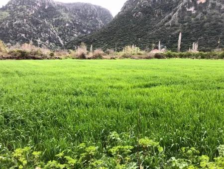 Okçularda Satılık Arsa Marmarlı 1500M2 Satılık Arsa