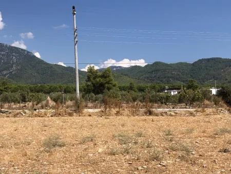 Köyceğiz Zeytinalanı'nda Göl Manzaralı 11.227M2 Satılık Arsa