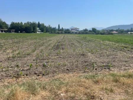 Okçular'da Köy Yerleşik Alanda 2715M2 Satılık Arsa