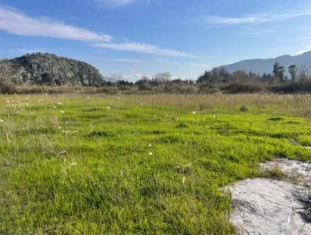 Dalyan'da 6800 M2 %5 Konut İmarlı Satılık Arsa