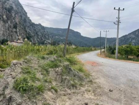 Dalyan'da 6500M2 Satılık Tarla