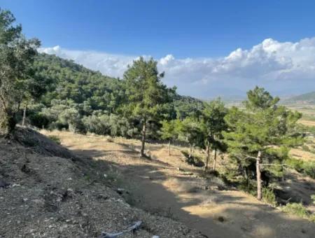 Sarıgerme'de Full Deniz Manzaralı 425M2 Satılık Arsa